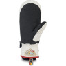 Варежки DAKINE POINTER MITT HCSC RAINBOW Размер L 10001995 (0610934301120)